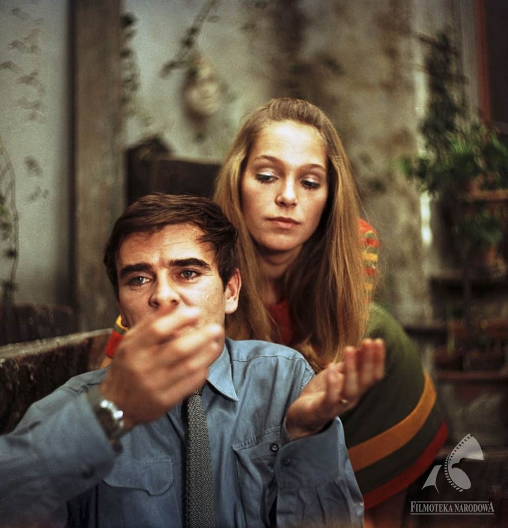 蝿取り紙の画像