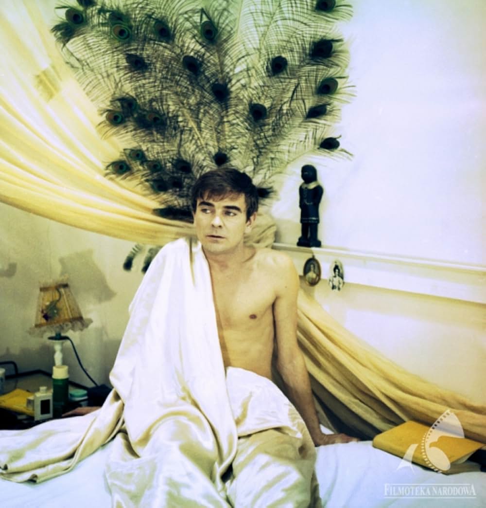 蝿取り紙の画像