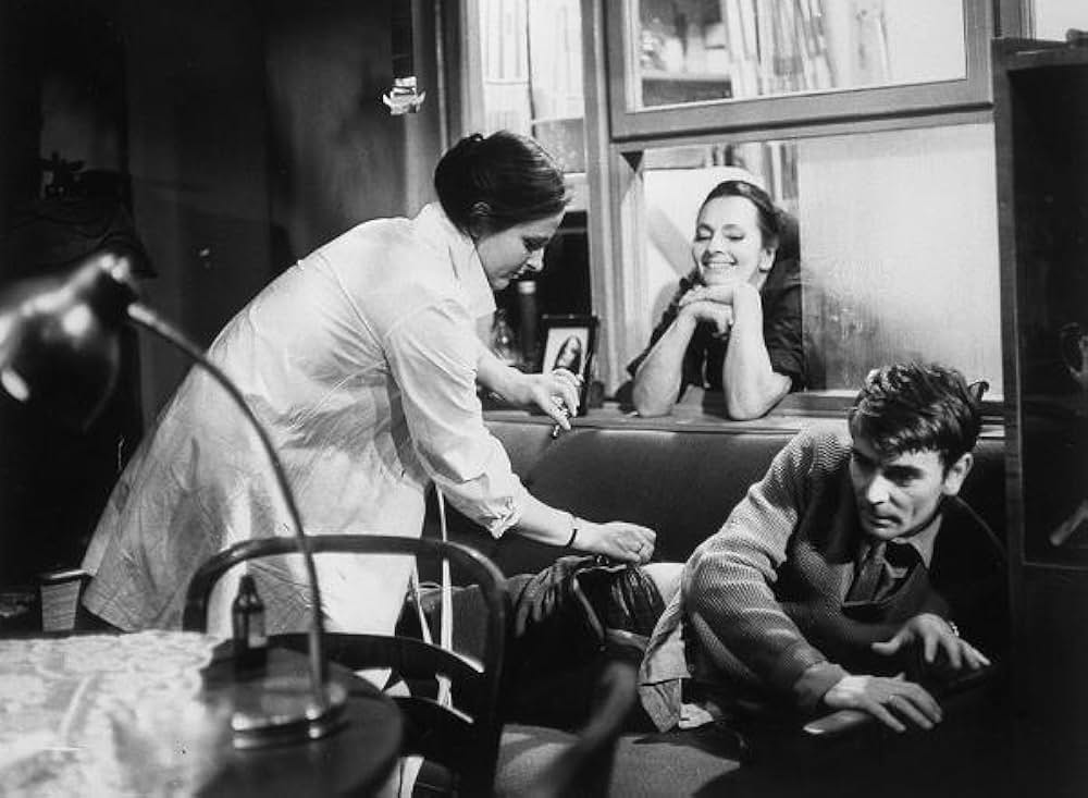 蝿取り紙の画像