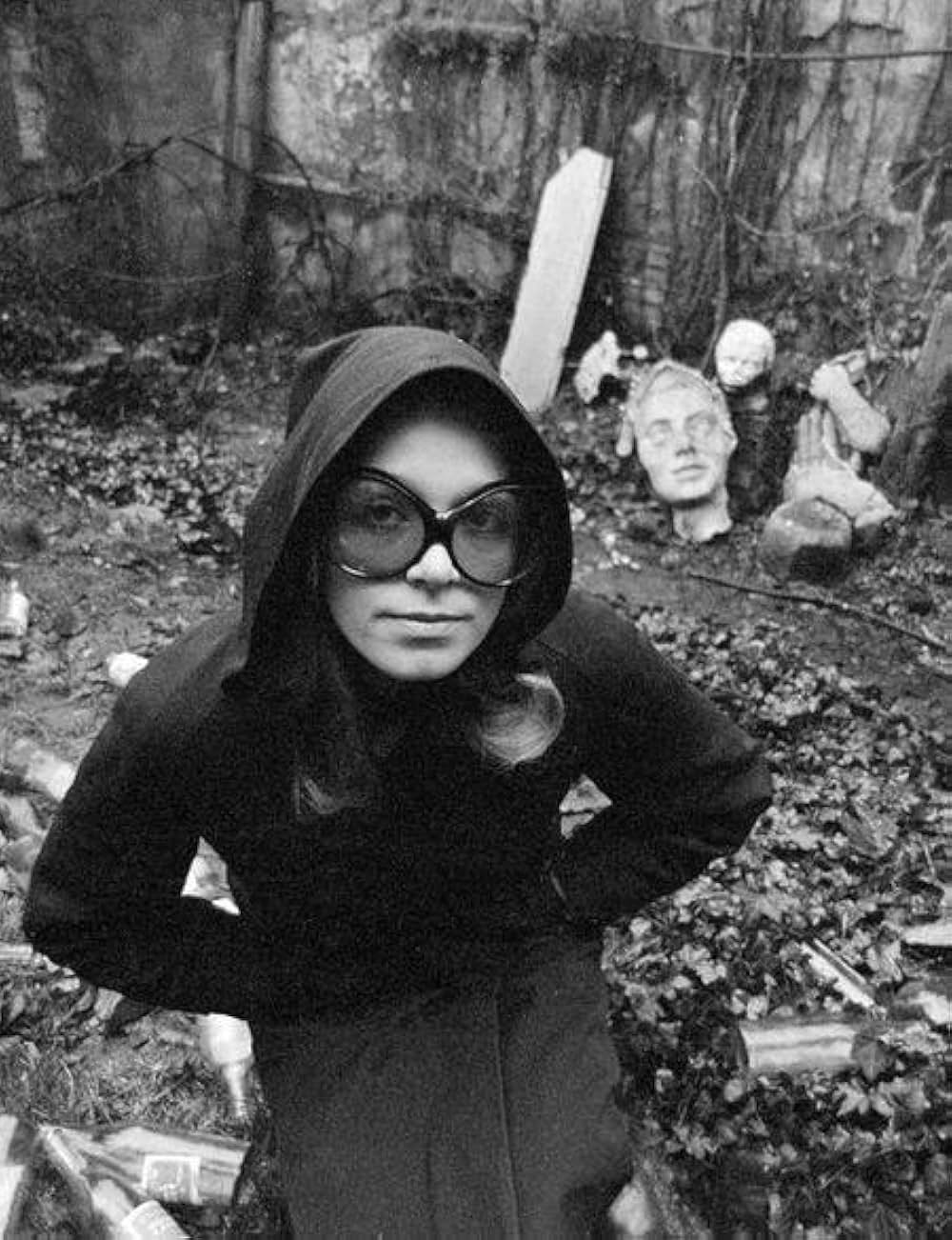 蝿取り紙の画像