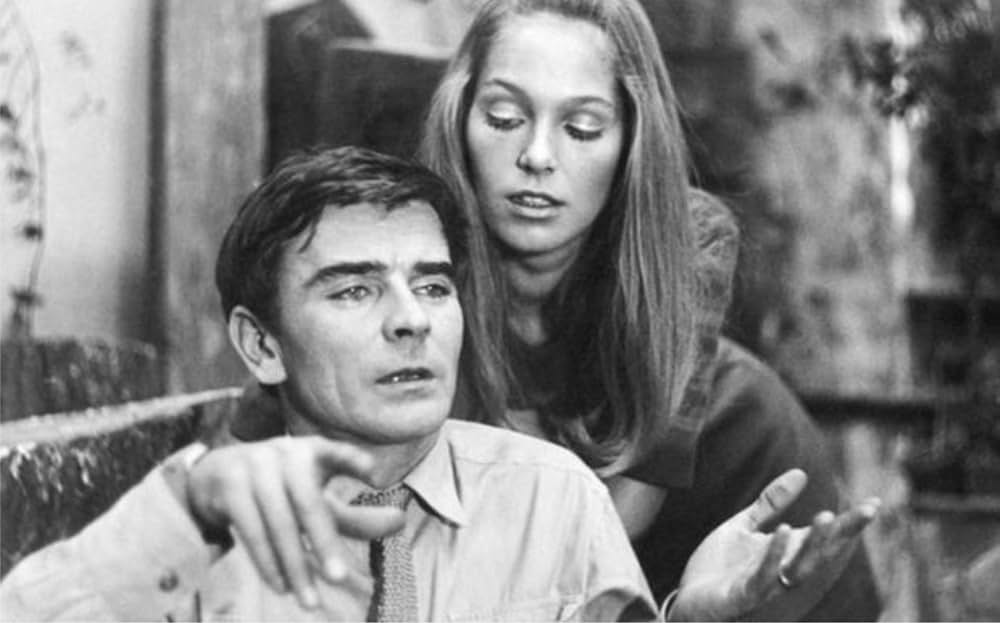 蝿取り紙の画像