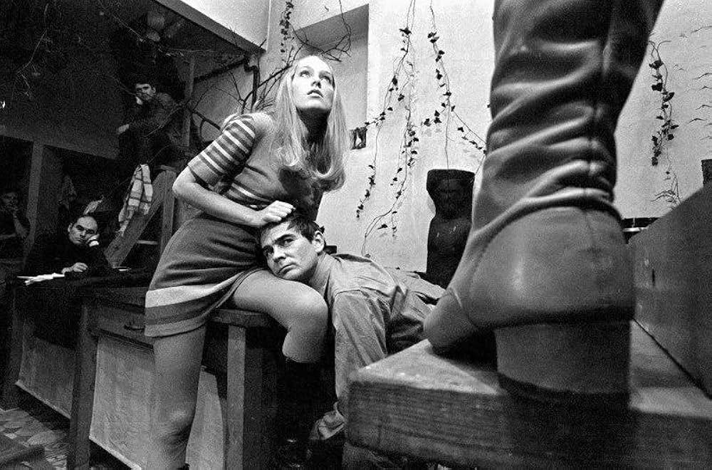 蝿取り紙の画像