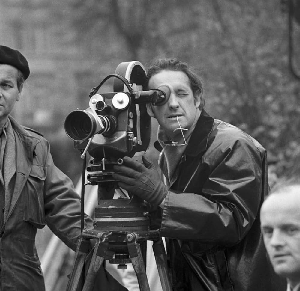 蝿取り紙の画像