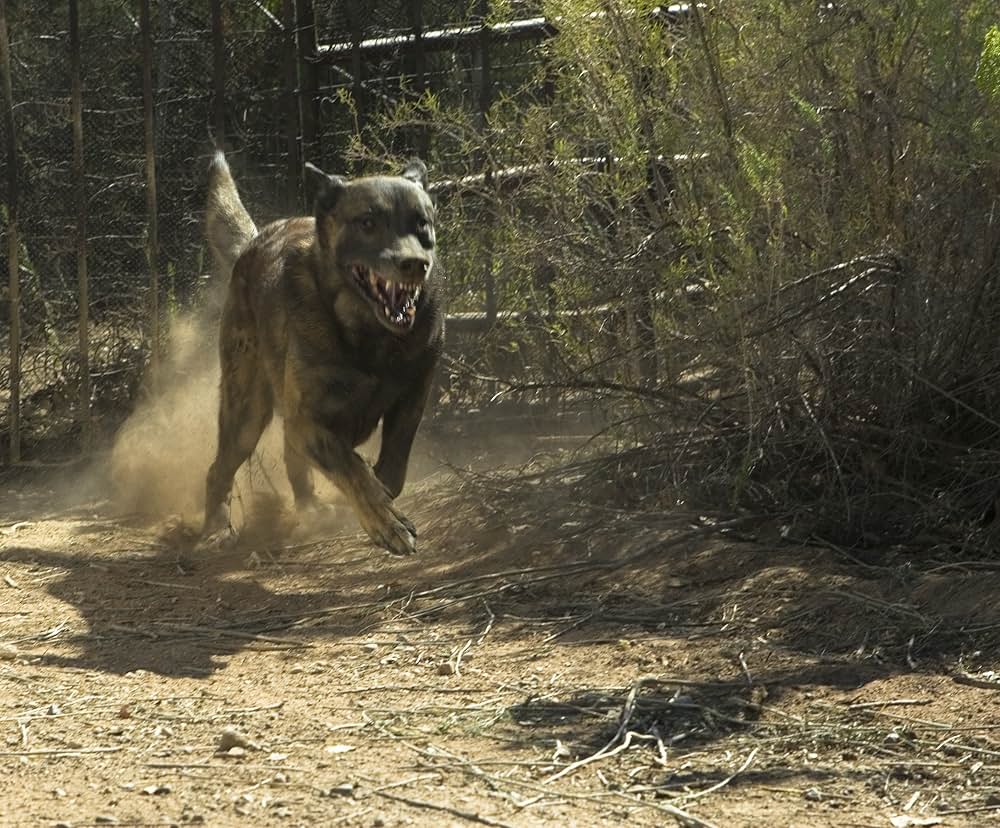デッド・キャニオンの画像