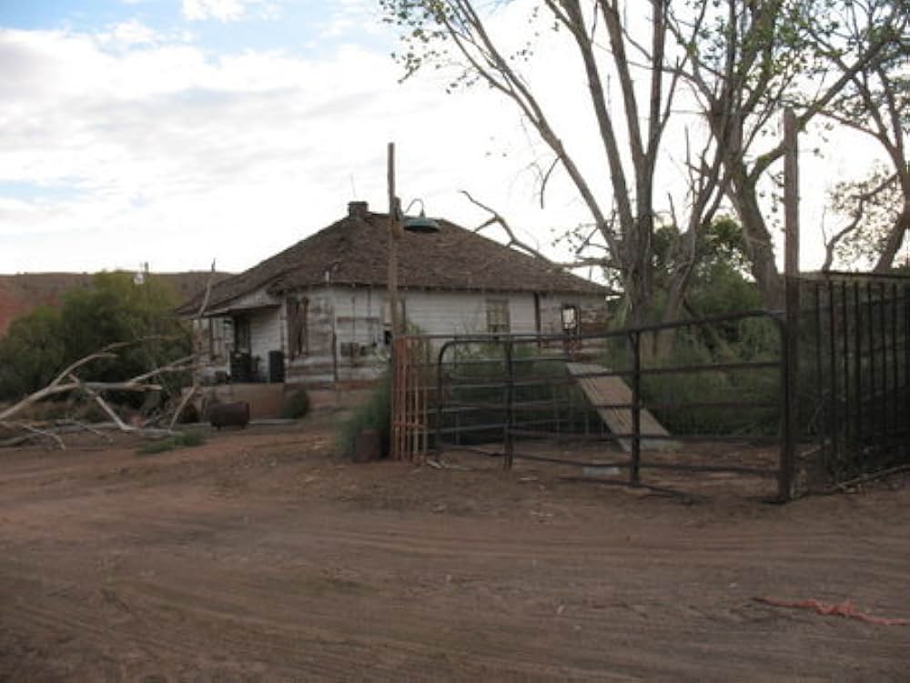 デッド・キャニオンの画像