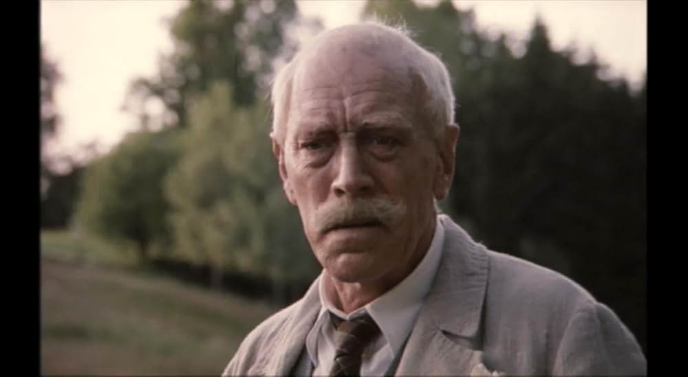 ハムスンの画像