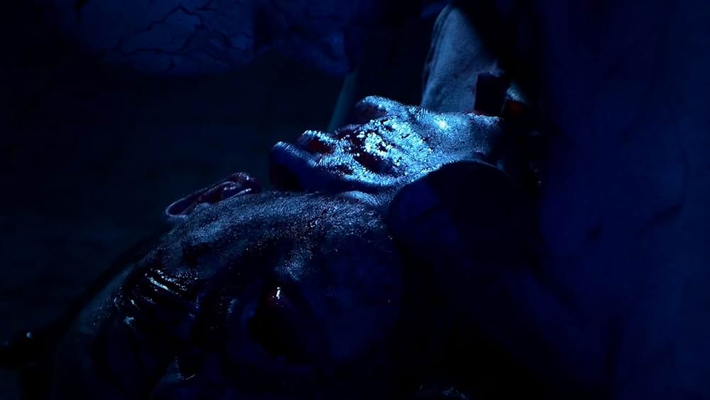 Stomach（原題）の画像