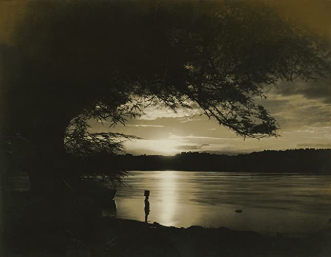 トレイダ・ホーンの画像