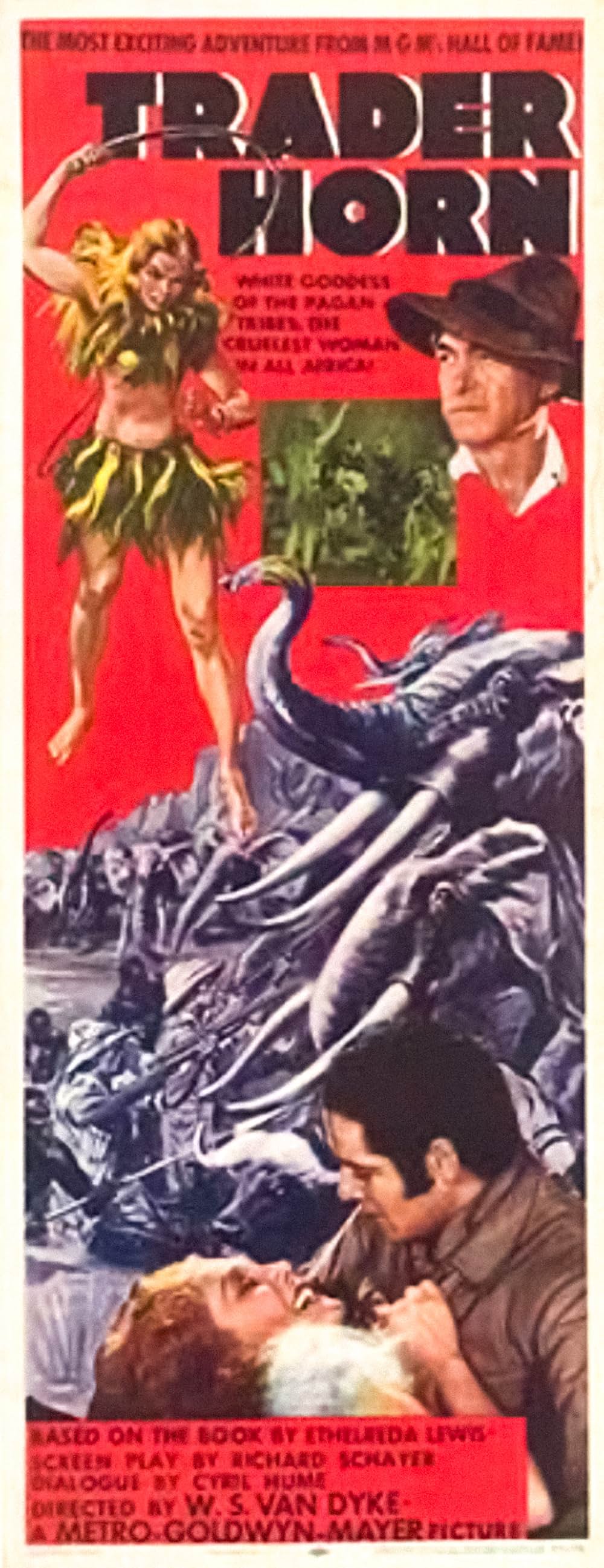 トレイダ・ホーンの画像