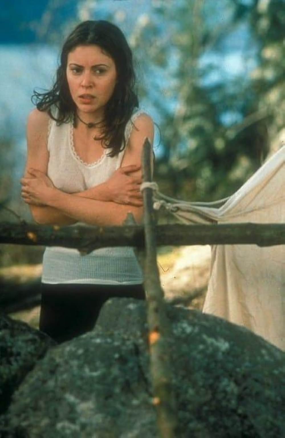 ブリザードの画像