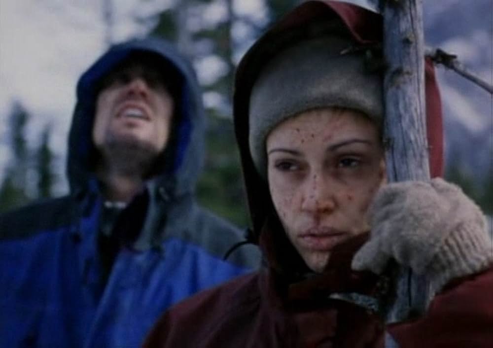 ブリザードの画像