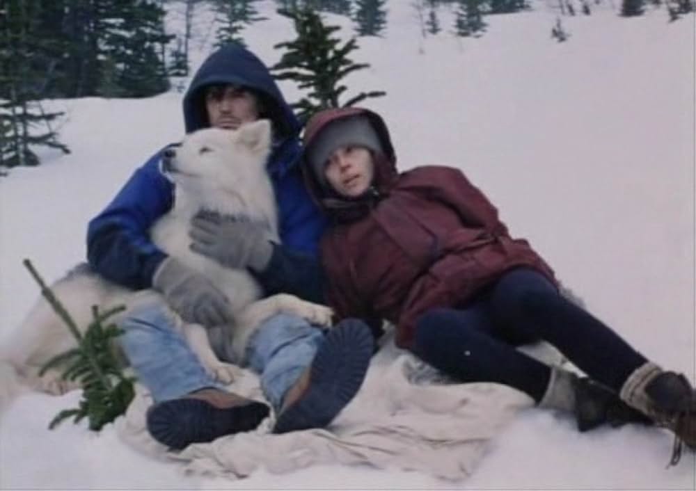 ブリザードの画像