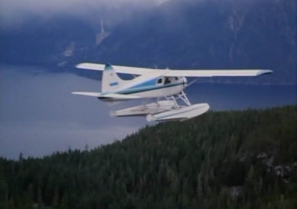 ブリザードの画像