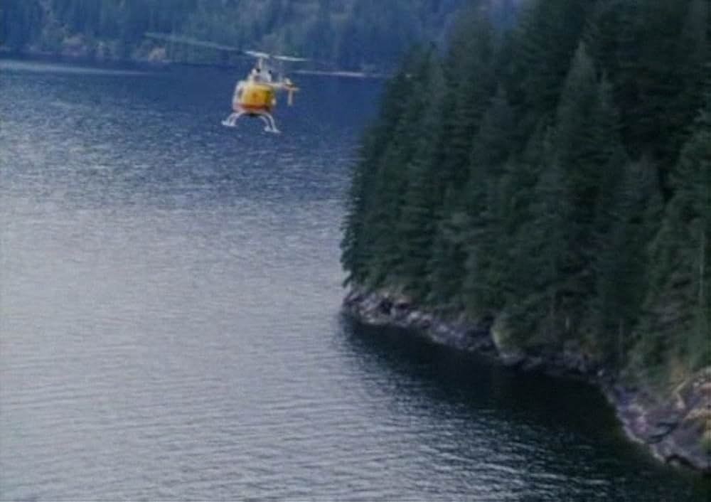 ブリザードの画像