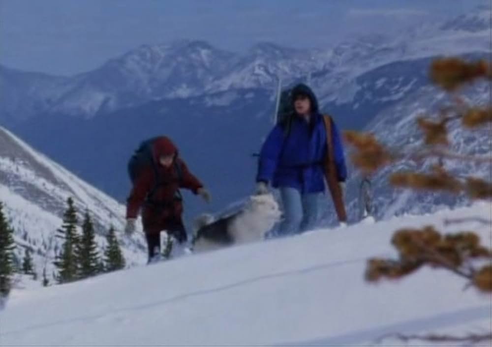 ブリザードの画像