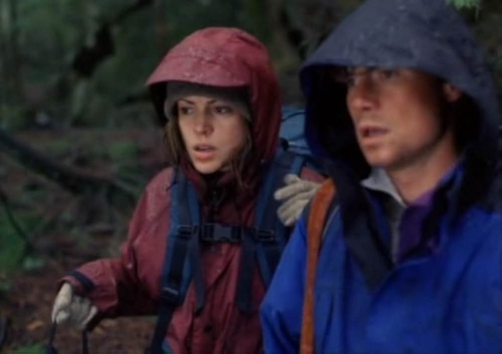 ブリザードの画像