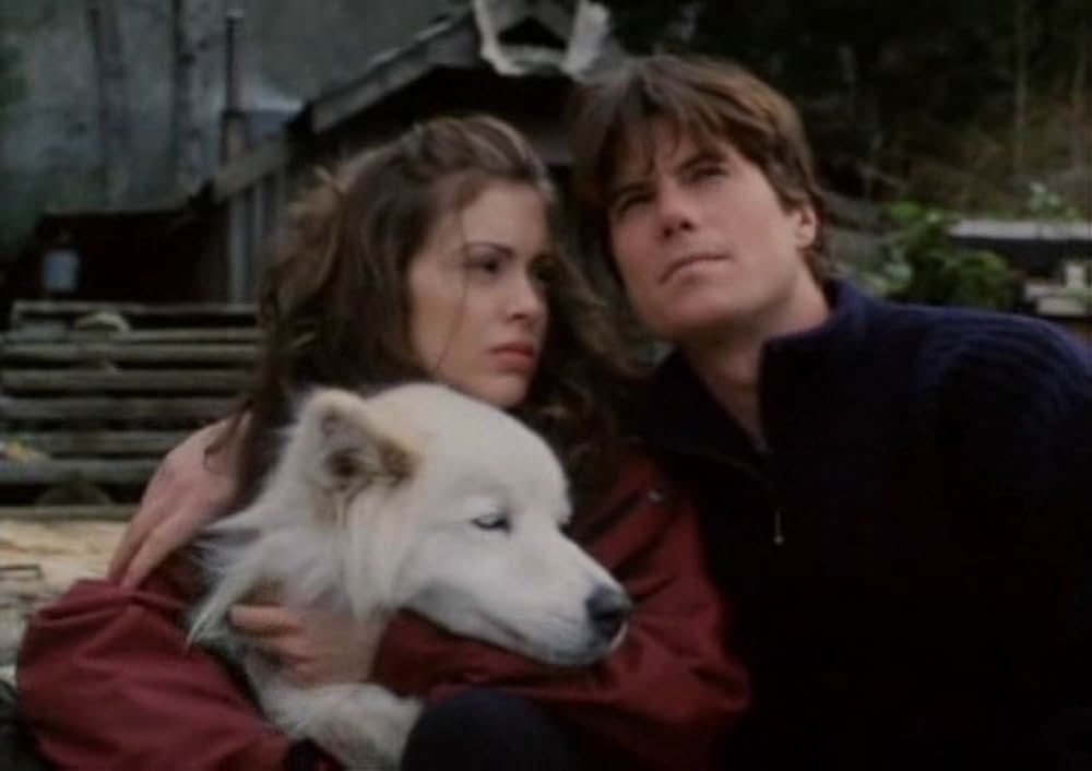 ブリザードの画像