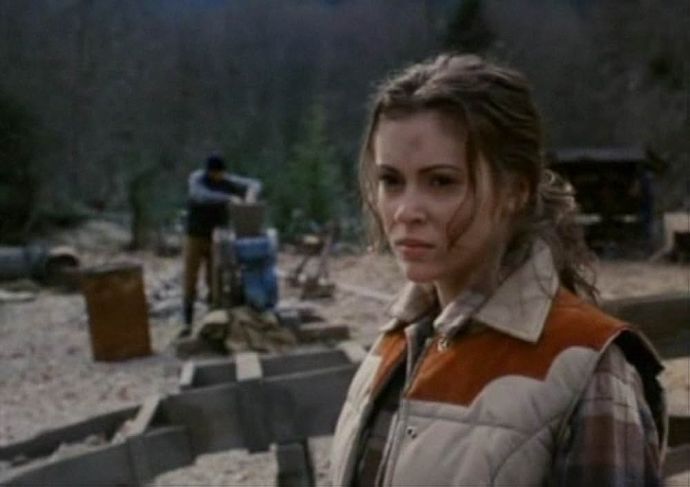 ブリザードの画像