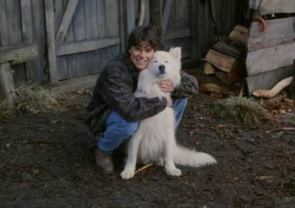 ブリザードの画像