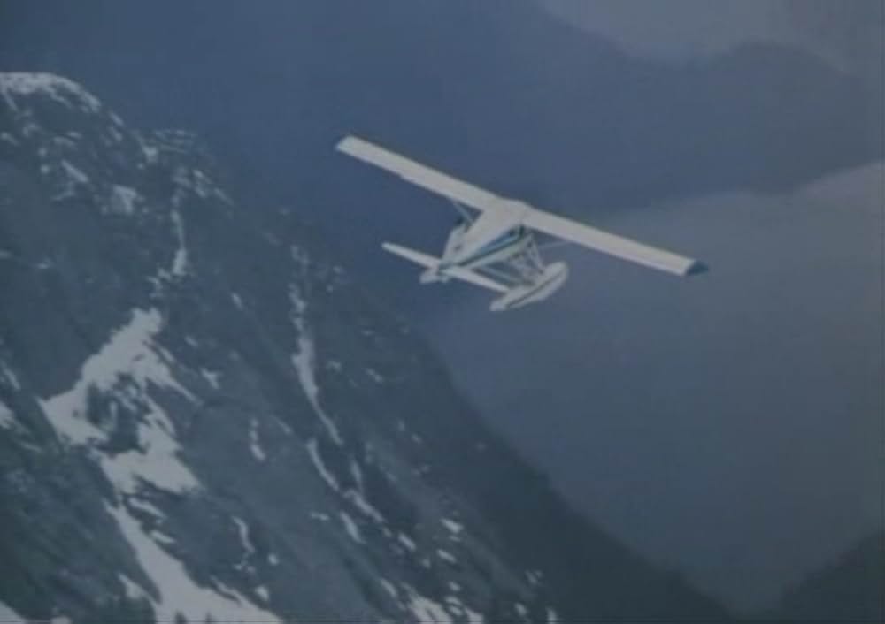 ブリザードの画像