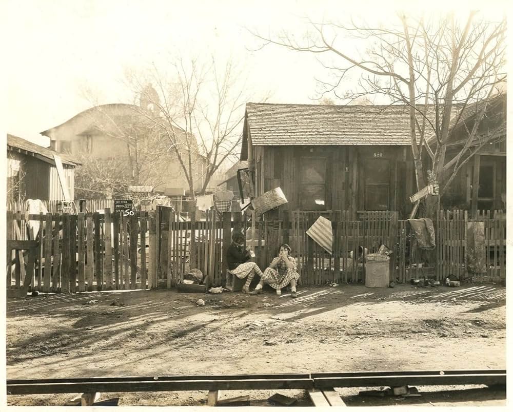 スキピイの画像