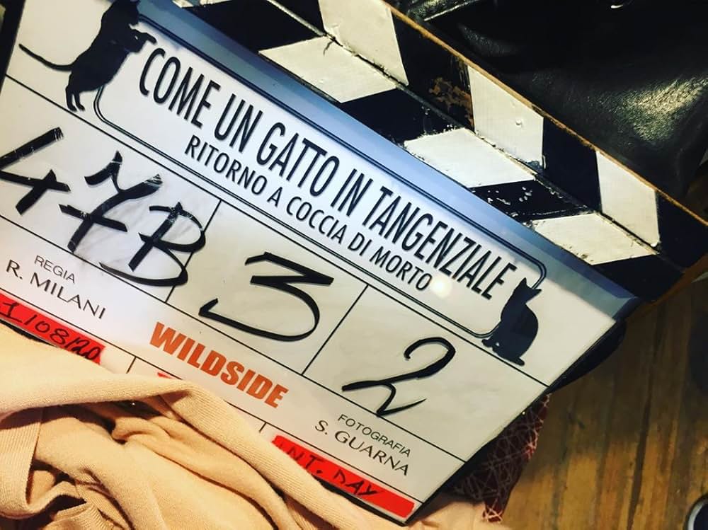 環状線の猫のようにPART2：バック・トゥ・ザ・ビーチの画像