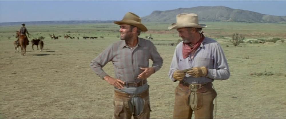 テキサス魂の画像