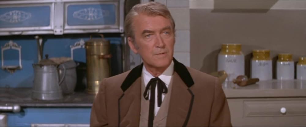 テキサス魂の画像