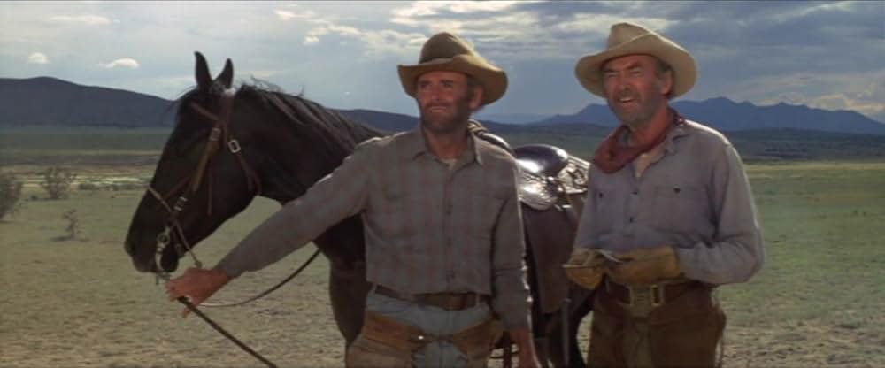 テキサス魂の画像