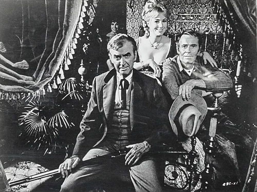 テキサス魂の画像