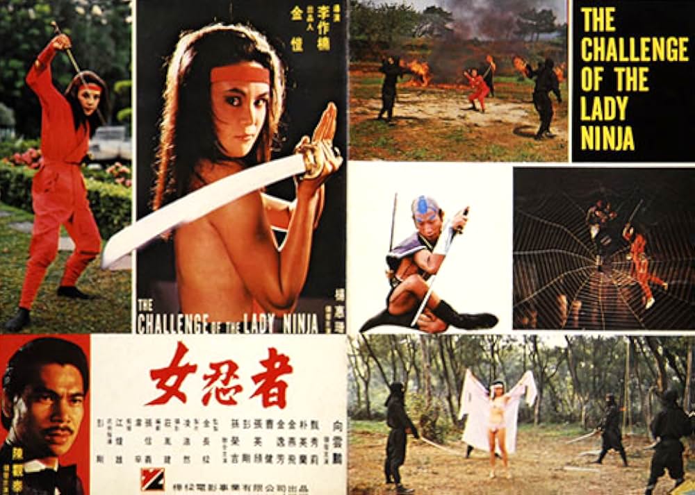 レディ・ニンジャ／セクシー武芸帳の画像