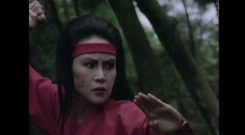 レディ・ニンジャ／セクシー武芸帳の画像