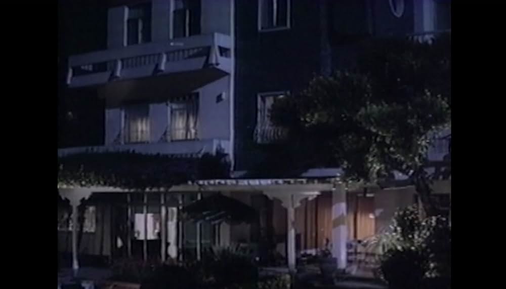 レディ・ニンジャ／セクシー武芸帳の画像