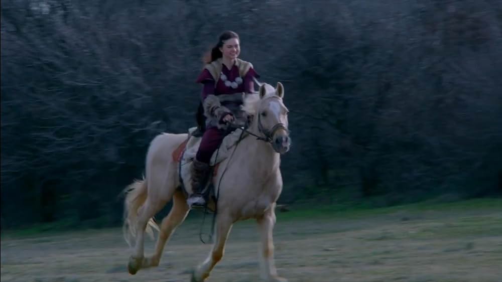 バイキング・クエストの画像