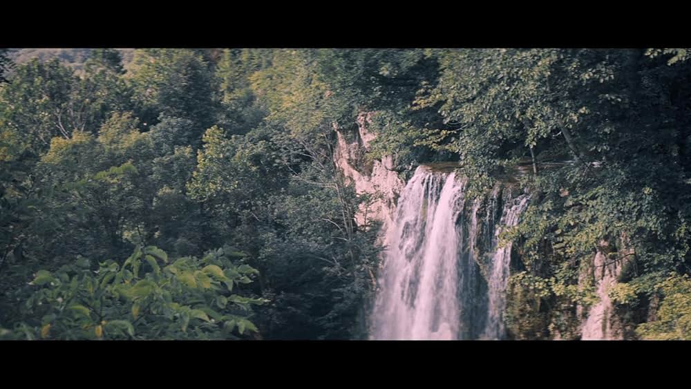 エイリアン・アサシンの画像