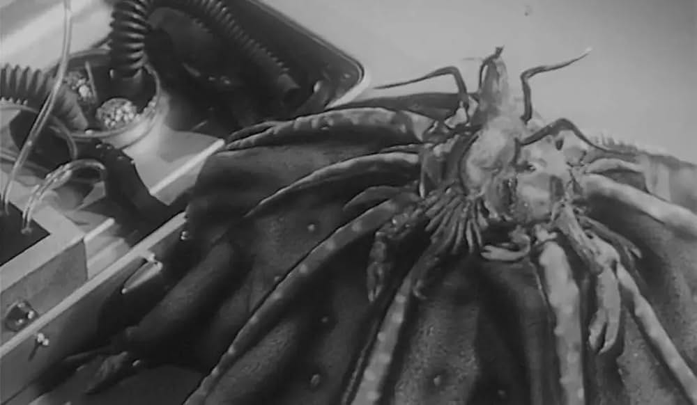 美女とエイリアンの画像