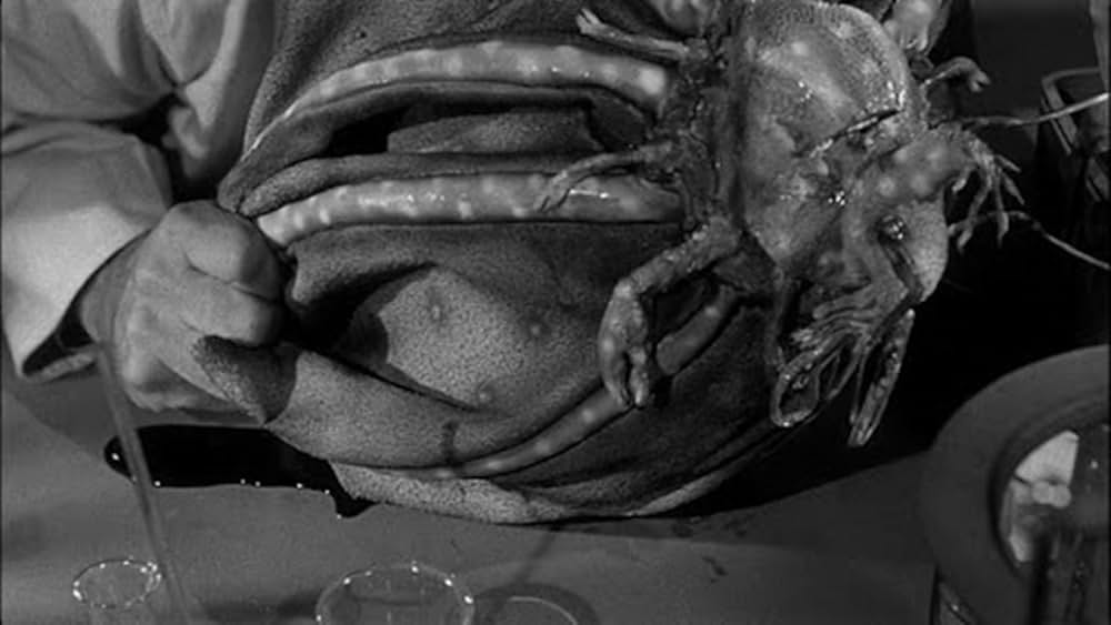 美女とエイリアンの画像