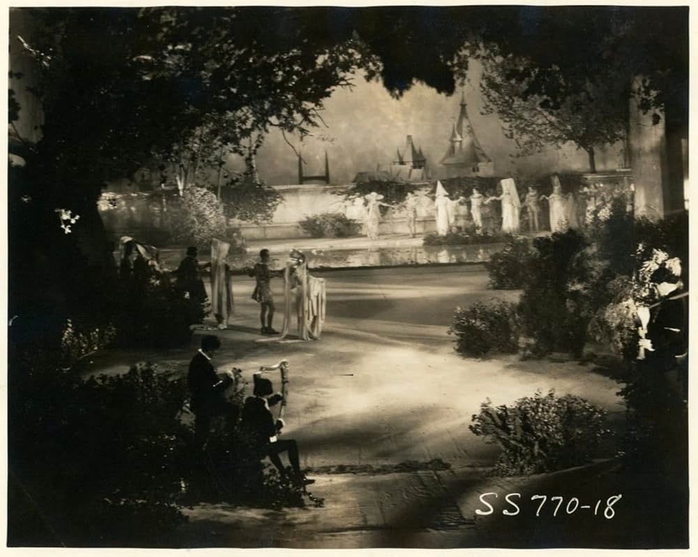 放浪の王者の画像