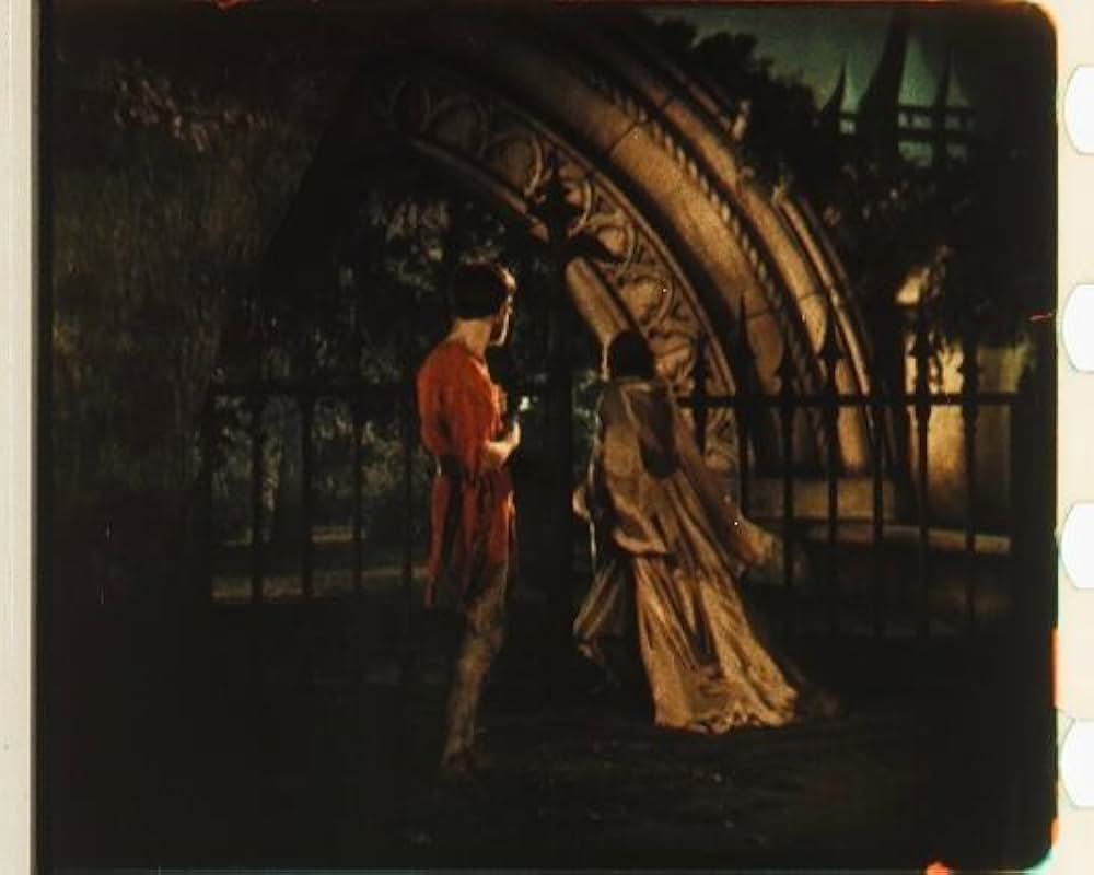 放浪の王者の画像