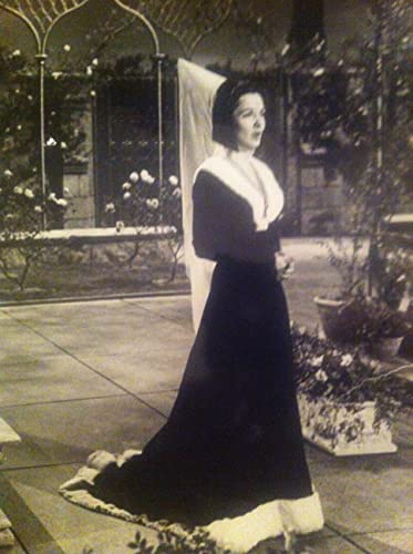 放浪の王者の画像