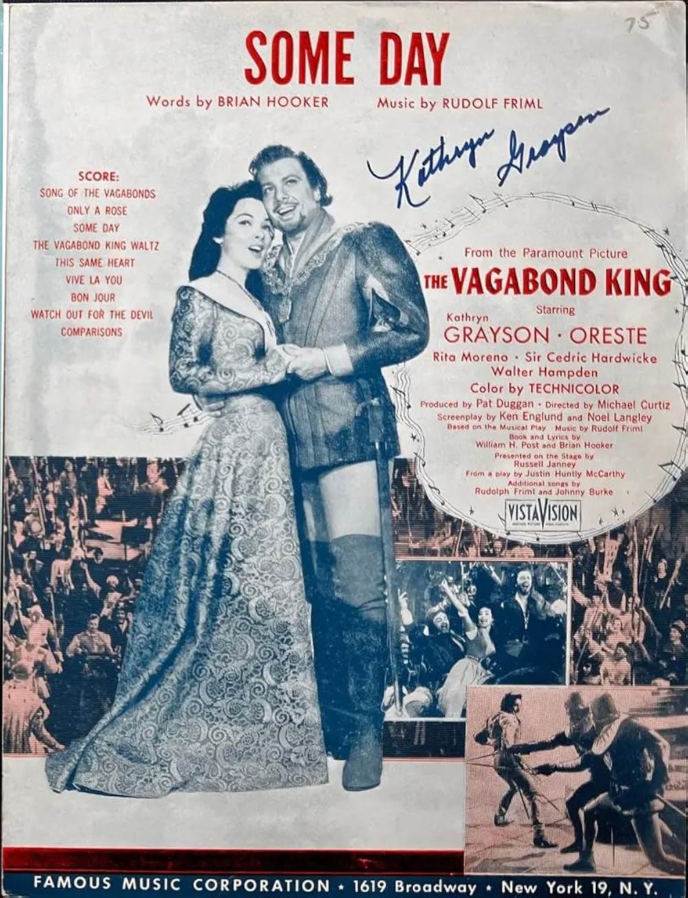 放浪の王者の画像