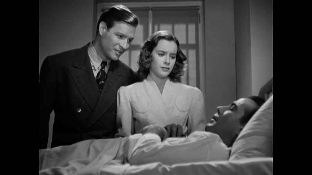 ビッグショット 顔役の画像