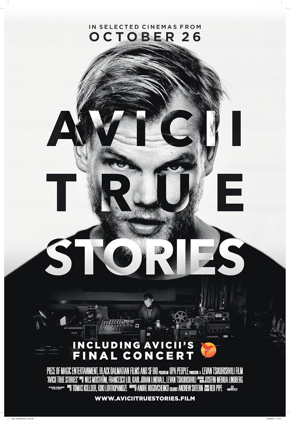 「AVICII: TRUE STORIES」の画像