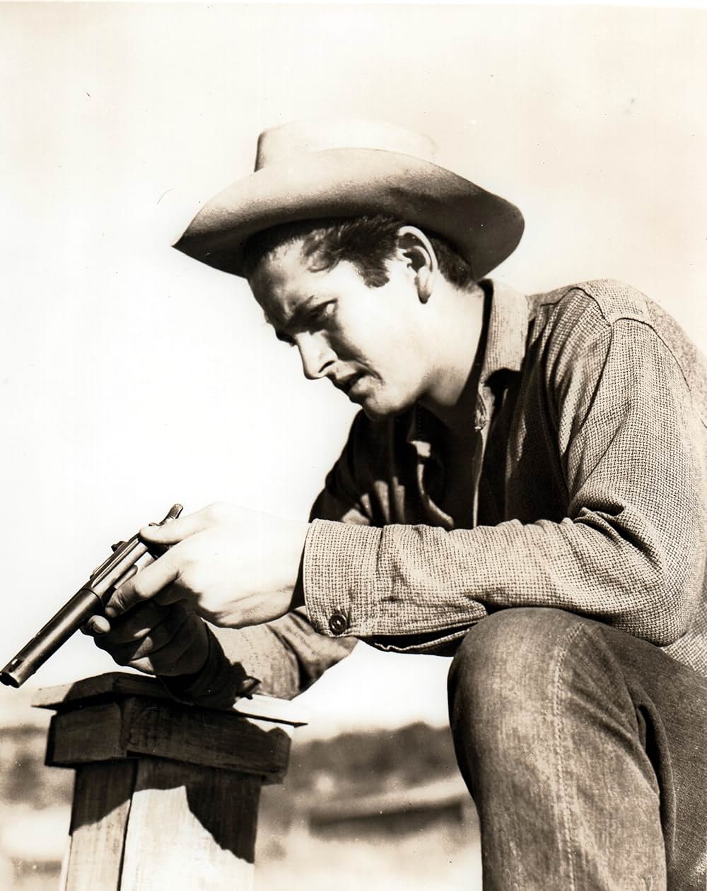 サンダウナーズの画像