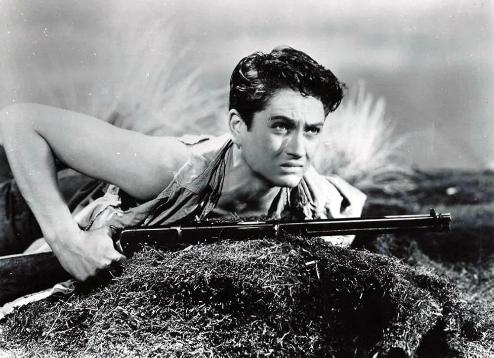 サンダウナーズの画像