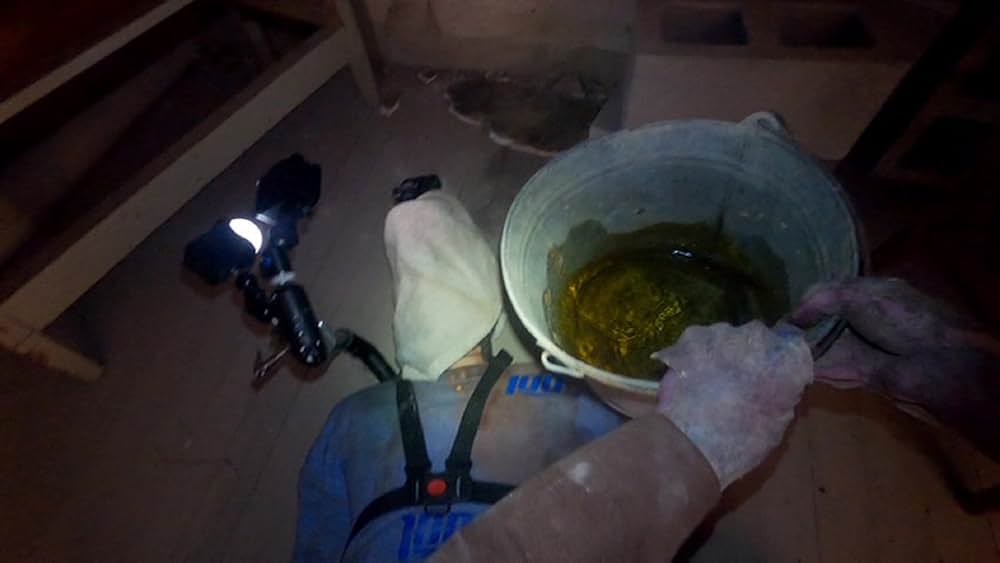 デッドストリームの画像