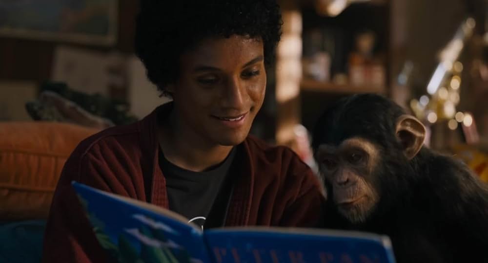 Michael／マイケルの画像