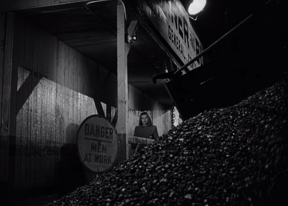 The Web（原題）の画像