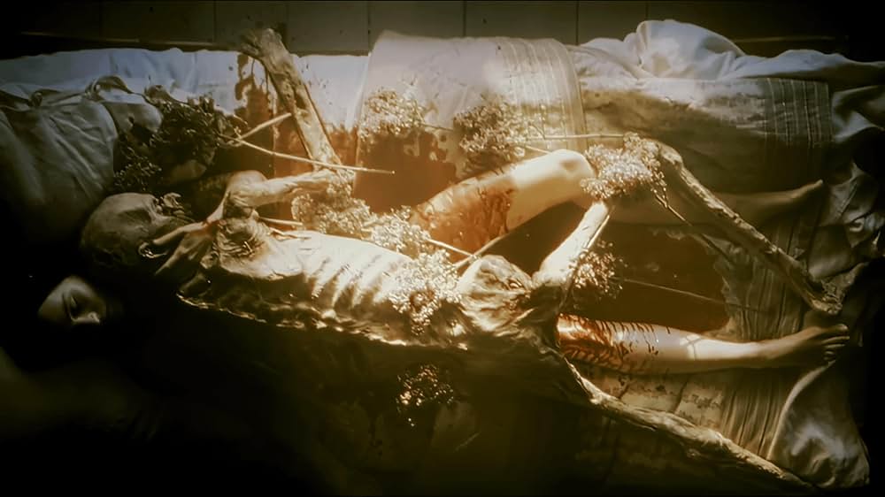 ノスフェラトゥの画像