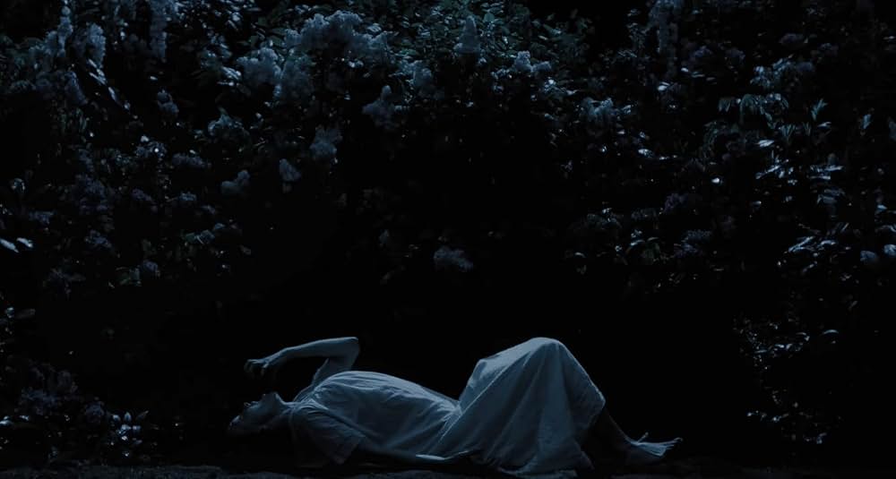 ノスフェラトゥの画像